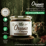 Raw Organic Honey 400g