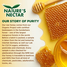 Load image into Gallery viewer, Organic Honey with Turmeric 325g | Natures Nectar
