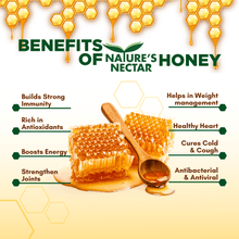 Load image into Gallery viewer, Organic Honey with Turmeric 325g | Natures Nectar
